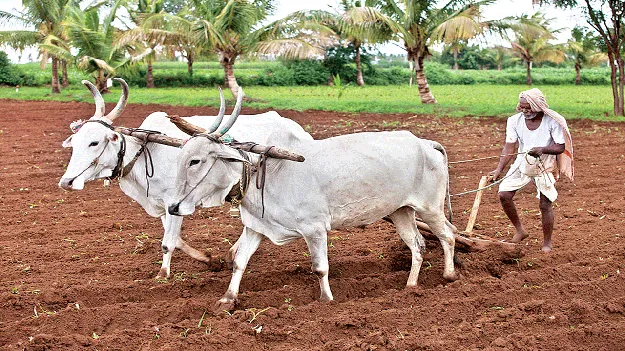 go to crap field పొలంబాట