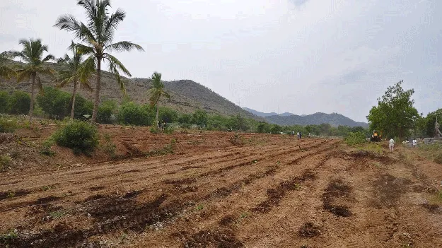  భూకబ్జాదారుల నుంచి శ్మశాన స్థలం విముక్తి