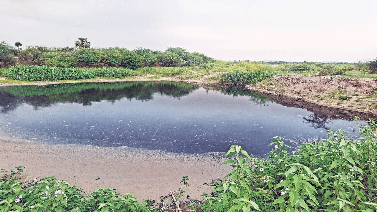 సుడి చెరువుకు కాలుష్య గండం 