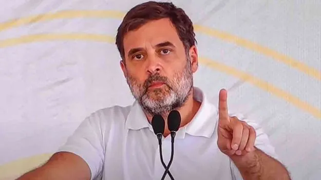 Rahul Gandhi: సావర్కర్‌ గురించి తెలుసుకోవాలని రాహుల్‌ను ఆదేశించలేం