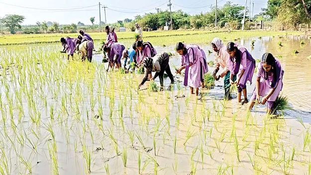    నాణ్యమైన విద్యే పీఎంశ్రీ లక్ష్యం