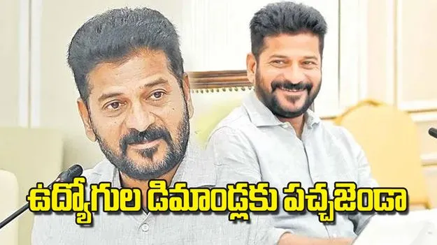 Revanth Reddy: ఉద్యోగుల డిమాండ్లకు  పచ్చజెండా