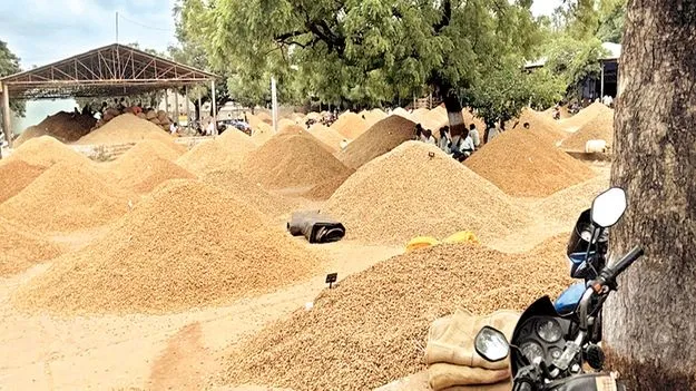 పంట ఉత్పత్తులతో మార్కెట్ కళకళ