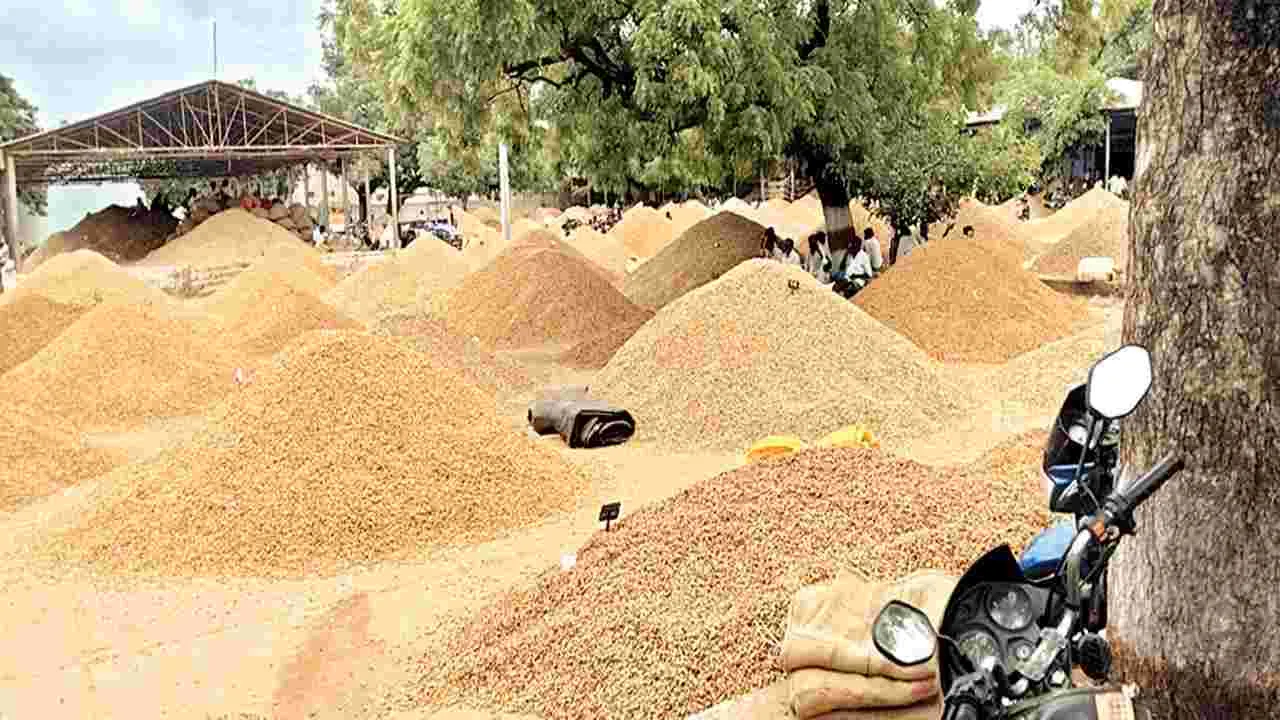    పంట ఉత్పత్తులతో మార్కెట్‌ కళకళ