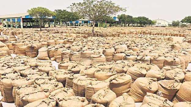 Rice Mills Tender Agencies: ‘టెండరు ధాన్యం’లో దోషులు ఎవరు?