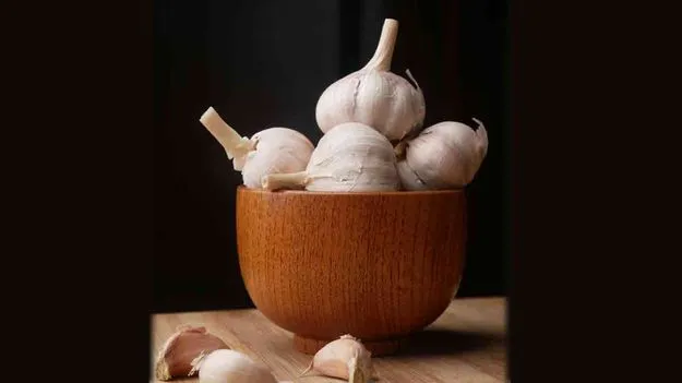 Health Benefits: రోజూ వెల్లుల్లి తింటే