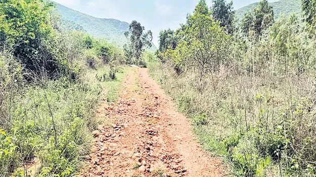 వాక రోడ్డుకి మోక్షం