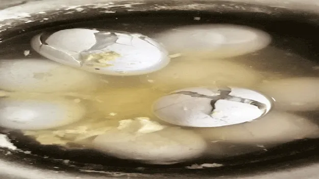   eggs: ఈ గుడ్లు తినేదెలా?