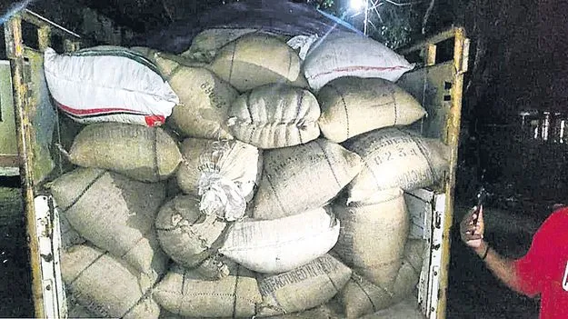 రెండు టన్నుల రట్టన్‌ కేన్‌ విత్తనాలు స్వాధీనం