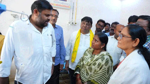 ఉప్మాలో జెర్రి