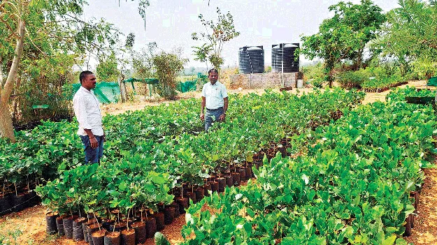 వనమహోత్సవానికి సమయం ఆసన్నం