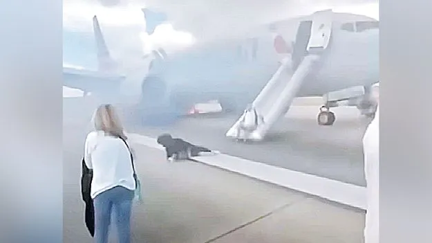 American Airlines: టేకాఫ్‌ అవుతుండగా విమానం టైరు నుంచి మంటలు