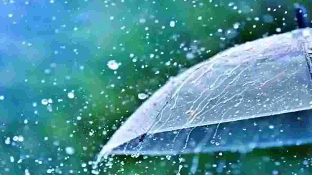 భారీ వర్షాలకు దేశ వ్యాప్తంగా 25 మంది మృతి