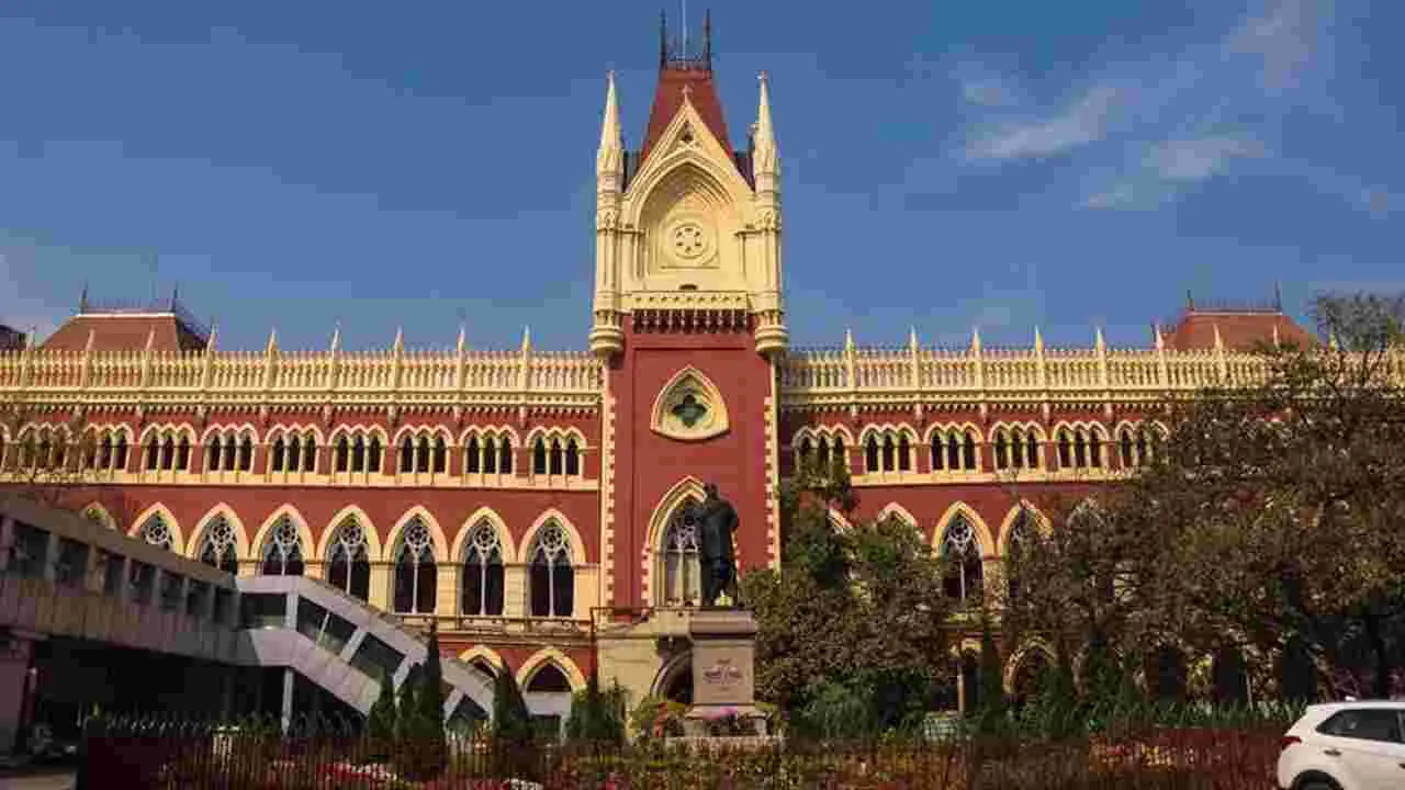 Kolkata High Court: శర్మిష్ఠ పనోలికి మధ్యంతర బెయిల్‌ మంజూరు