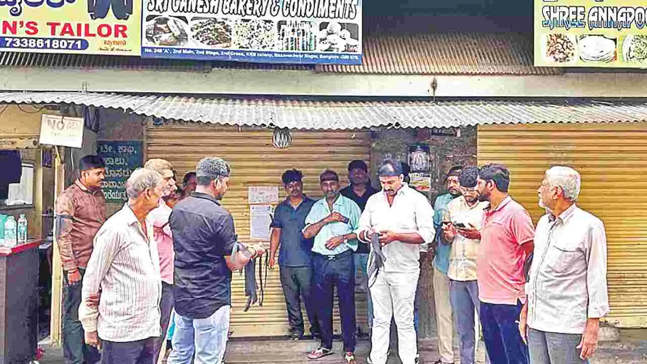 Digital Payments: ఇటు విదేశాలకు.. అటు ఆందోళనకు..