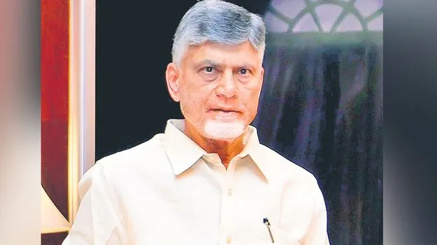 Chandrababu Naidu: ఇకపై పన్ను ఎగవేత కుదరదు 