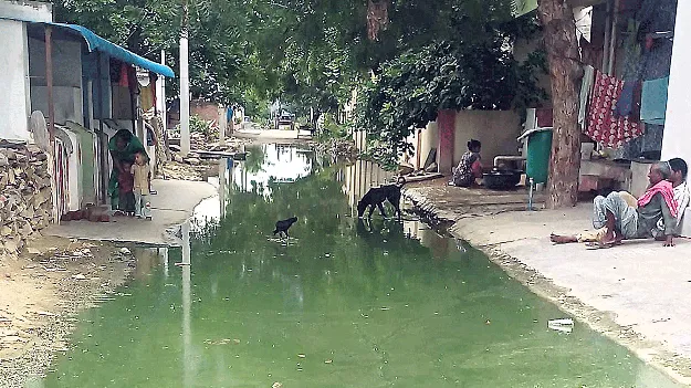 అధికారుల నిర్లక్ష్యం.. మురుగుతో సహజీవనం 