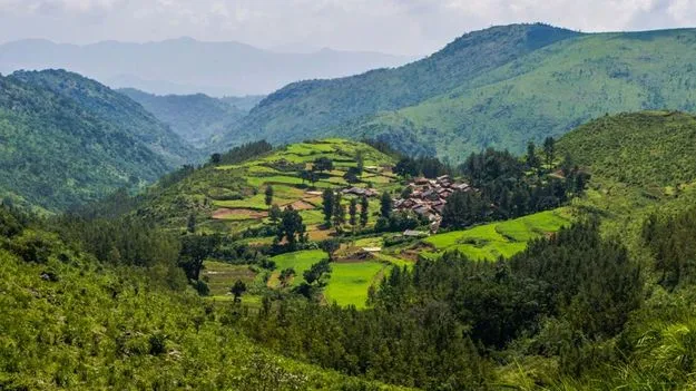 తూర్పు కనుమలను కాపాడండి 