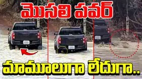 Crocodile Viral Video: నీళ్లలోని మొసలికి ఎంత పవర్ ఉంటుందో తెలుసా.. జీపు కింద పడడంతో చివరకు.. 