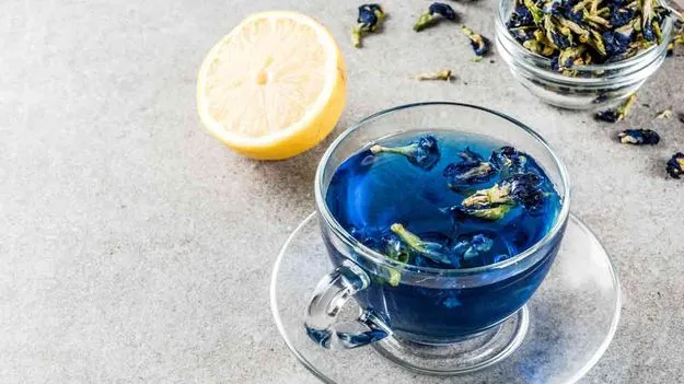 Herbal Tea: రోజూ శంఖుపువ్వు టీ తాగితే