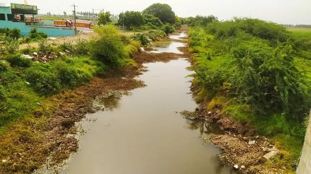 నెమ్మదిగా సాగు