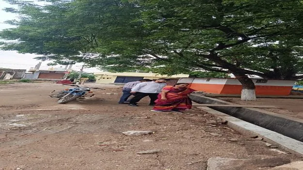 సీజనల్‌ వ్యాధుల నివారణకు అప్రమత్తంగా ఉండాలి