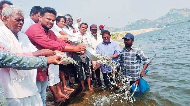 చెరువుల్లోకిచేరని చేపలు