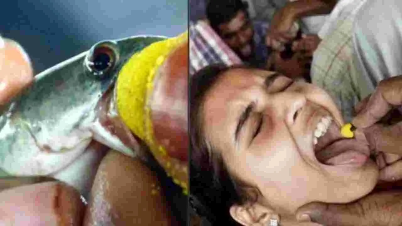 Nampally: చేప ప్రసాదం పంపిణీకి ఏర్పాట్లు పూర్తి