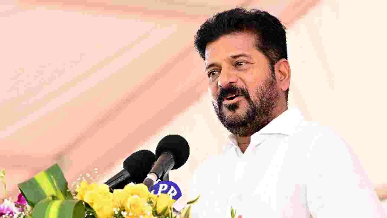 పోరాటమనే పునాదిపైన.. పిడికిలి పీఠం ఎక్కిన తల్లి