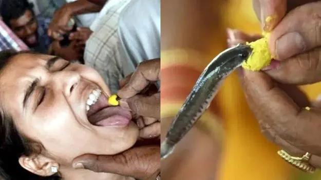 Nampally: 8,9 తేదీల్లో చేప ప్రసాదం పంపిణీ