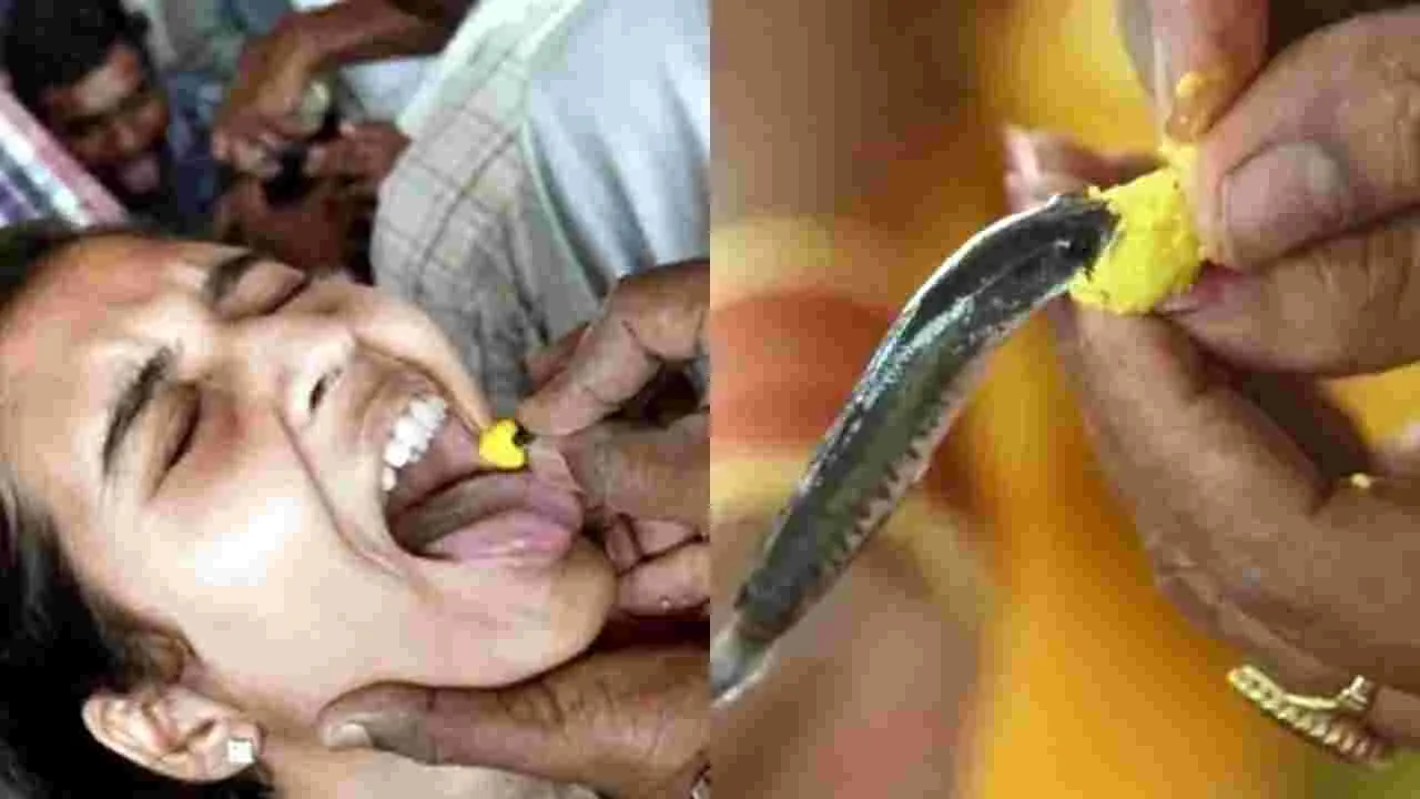 Nampally: 8,9 తేదీల్లో చేప  ప్రసాదం పంపిణీ