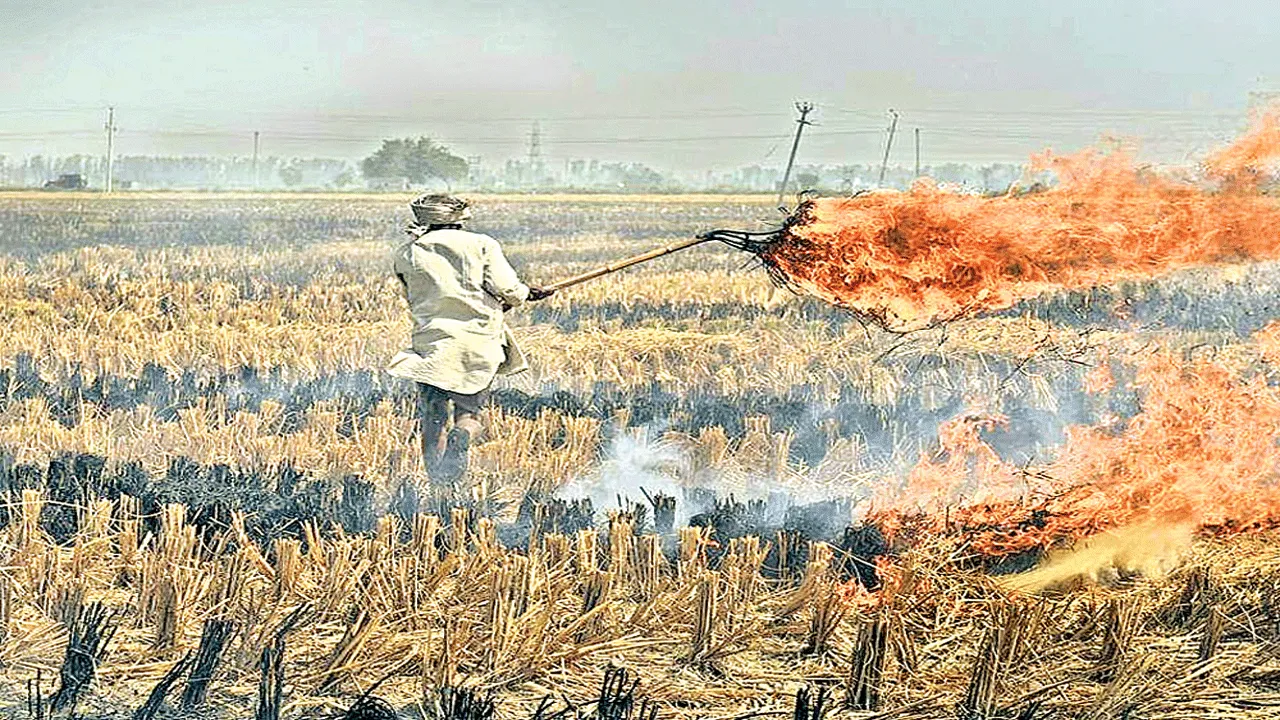 పంట వ్యర్థాలతో భూసారం
