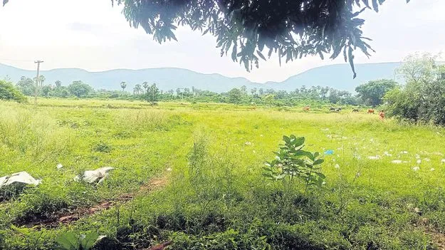 ఓపెన్‌గా భూ దందా