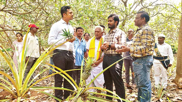ఐదు లక్షల మొక్కలు నాటడమే లక్ష్యం