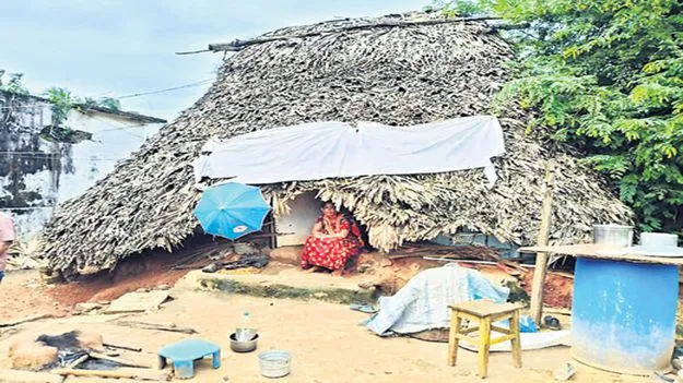 దైన్య స్థితిలో చిప్పాడ