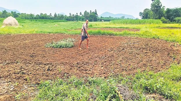 అన్నదాత ఆనందం
