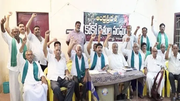 కోకో గింజలను ప్రభుత్వమే కొనుగోలు చేయాలి