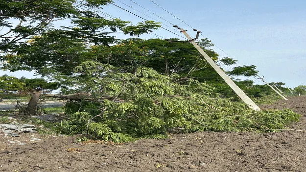 ఒరిగిన స్తంభాలను సరి చేయరా..?