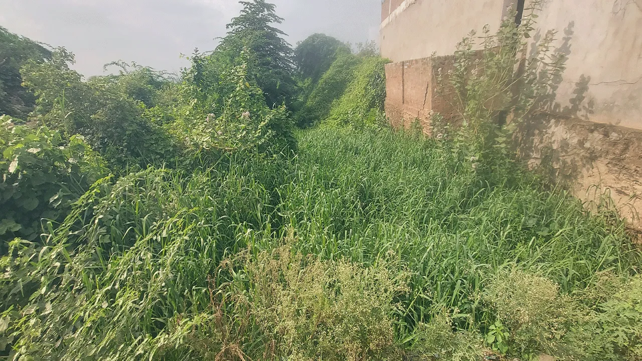 ప్రశ్నార్థకంగా పంటకాల్వలు