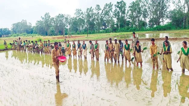 సాగుబడిలో పాఠాలు