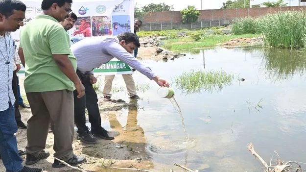 సీజనల్‌ వ్యాధులు ప్రబలకుండా ప్రత్యేక చర్యలు