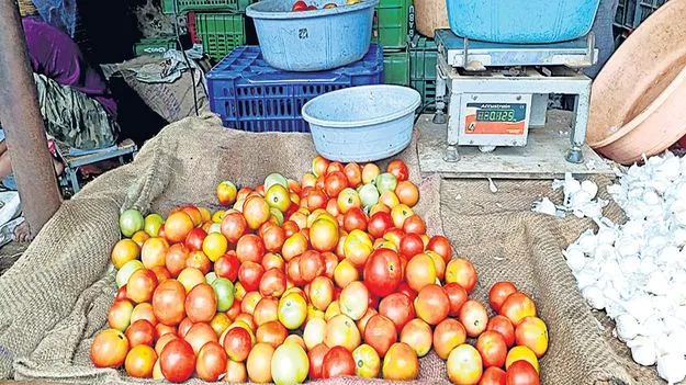 టమాటా ధరకు రెక్కలు