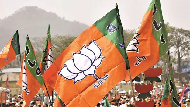 BJP: పది రోజుల్లో బీజేపీ రాష్ట్ర కమిటీ..?!