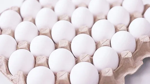 Anganwadi Centres: గుడ్ల టెండర్లు ఖరారయ్యేనా..?