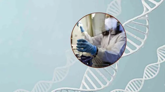 Genetic Identity: పుట్టుక మర్మం డీఎన్‌ఏలో భద్రం