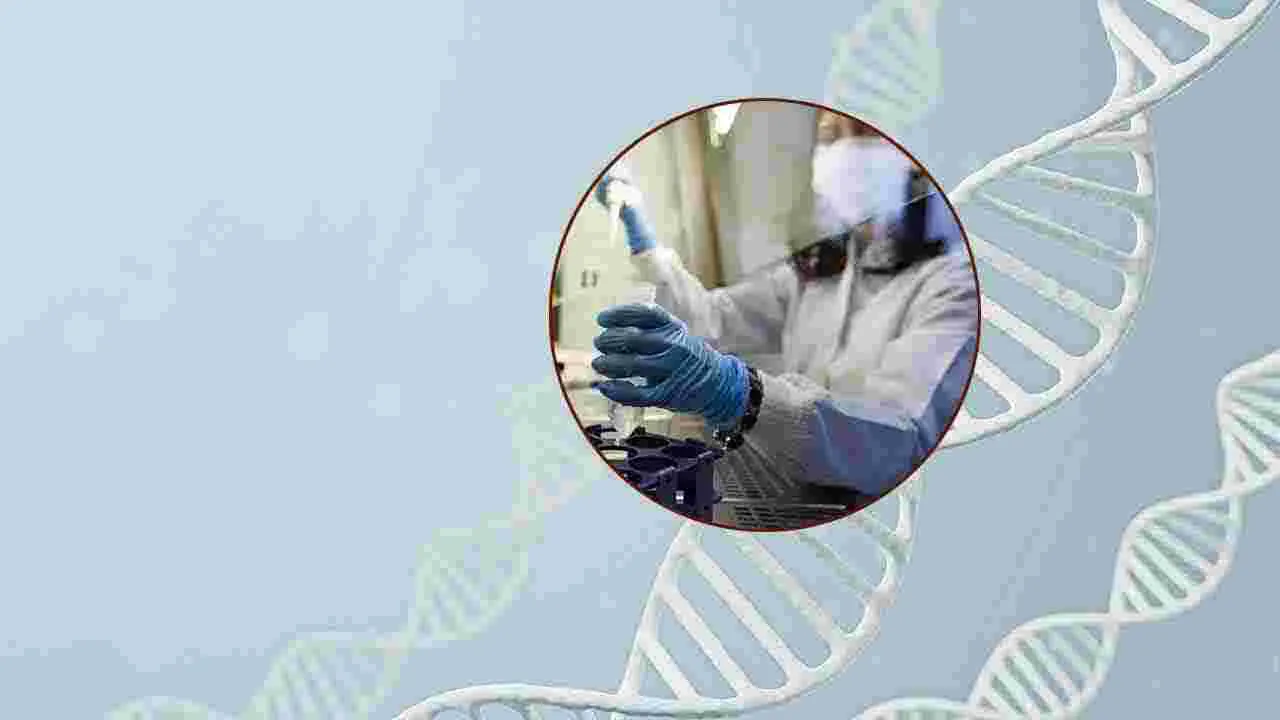 Genetic Identity: పుట్టుక మర్మం డీఎన్‌ఏలో భద్రం