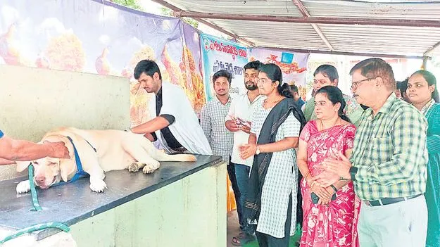 24 వేల యాంటీ రేబిస్‌ టీకాలు సిద్ధం