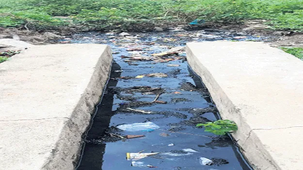 డ్రైనేజీలో పేరుకుపోయిన చెత్త