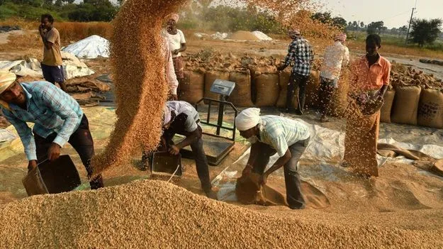 4 పంటలకు మద్దతు ధర పెంచండి