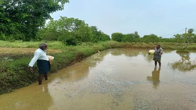 అన్నదాతలపై ఆశల వాన